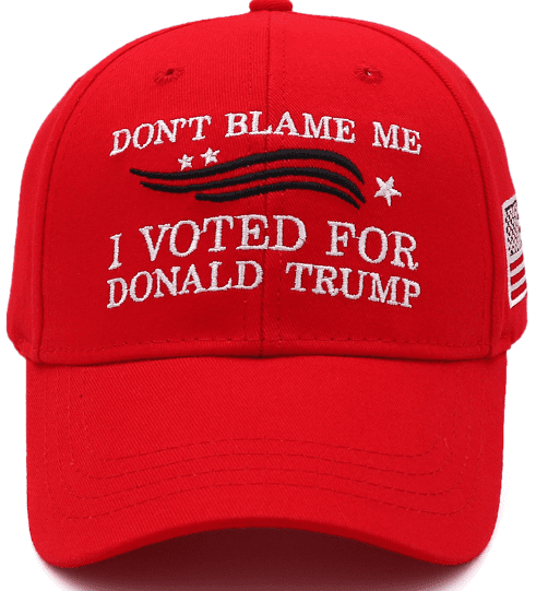 A red hat with the words " don 't blame me i voted for donald trump ".